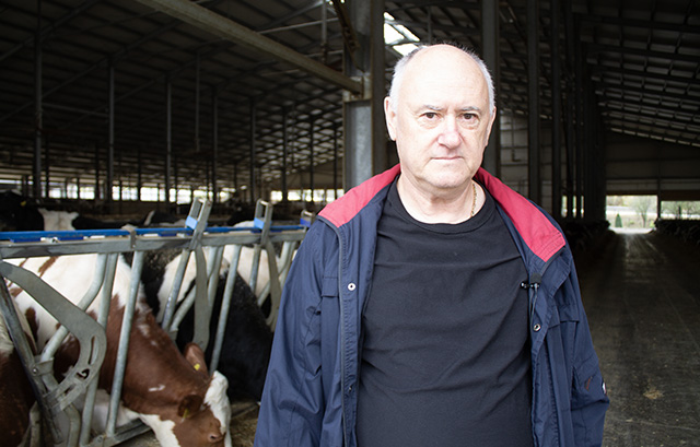 Минчо Иванов може да се похвали с рекордна средна млечност от крава от около 11 тона 