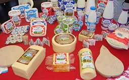 „ЕКОМИЛК-208” – трансграничен стимул за производители и преработватели на мляко в регионите на Трън и Ниш