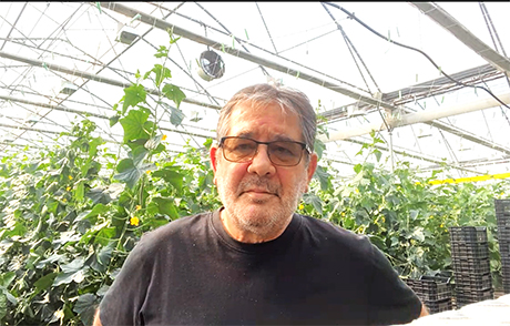 Антон Андронов: Себестойността на краставиците и доматите е близо до продажната цена